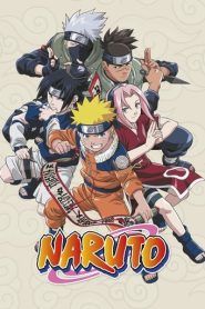 Download Naruto Season 4 episode 220 English Dubbed