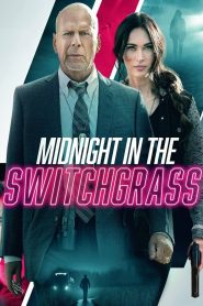 Download Midnight in the Switchgrass (2021) Full Movie