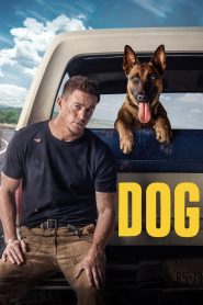 Dog Movie (2022) Download Mp4 English Sub