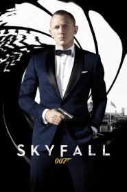 DOWNLOAD: Skyfall (2012) HD Full Movie Subtitles – Download SRT