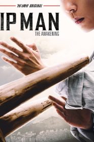 DOWNLOAD: Ip Man The Awakening (2022) Mp4