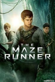 DOWNLOAD: The Maze Runner (2014) HD Full Movie – The Maze Runner Mp4