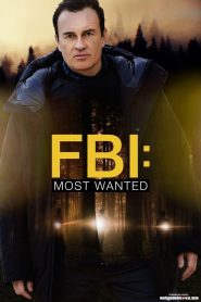 FBI Most Wanted Season 4 Episode 17 Download Mp4