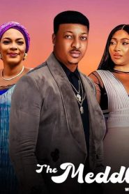 The Meddler (2022) Nigeria Movie Download Mp4