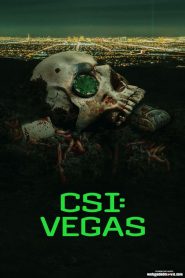 CSI Vegas Season 2 Episode 9 Download Mp4