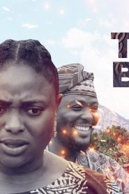 The Bond Nollywood Movie Download Mp4