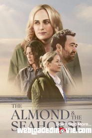 The Almond and the Seahorse (2022) Download Mp4 English Sub
