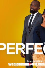 The Perfect Ex (2022) Nollywood Movie Download Mp4
