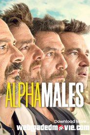 Download Alpha Males Season 1 Episodes 10