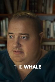 The Whale (2022) Download Mp4 English Sub