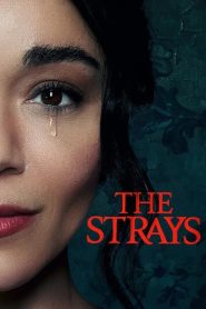 The Strays (2023) Download Mp4 English Sub