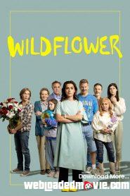 Wildflower (2023) Download Mp4 English Subtitle