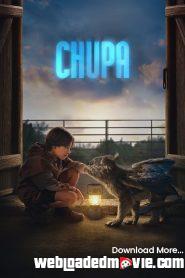 Chupa (2023) Download Mp4 English Subtitle