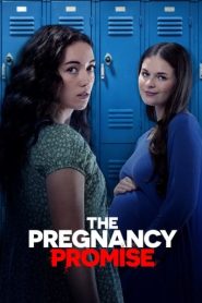 The Pregnancy Promise (2023) Hollywood Movie