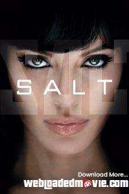 Salt (2010) Hollywood Movie